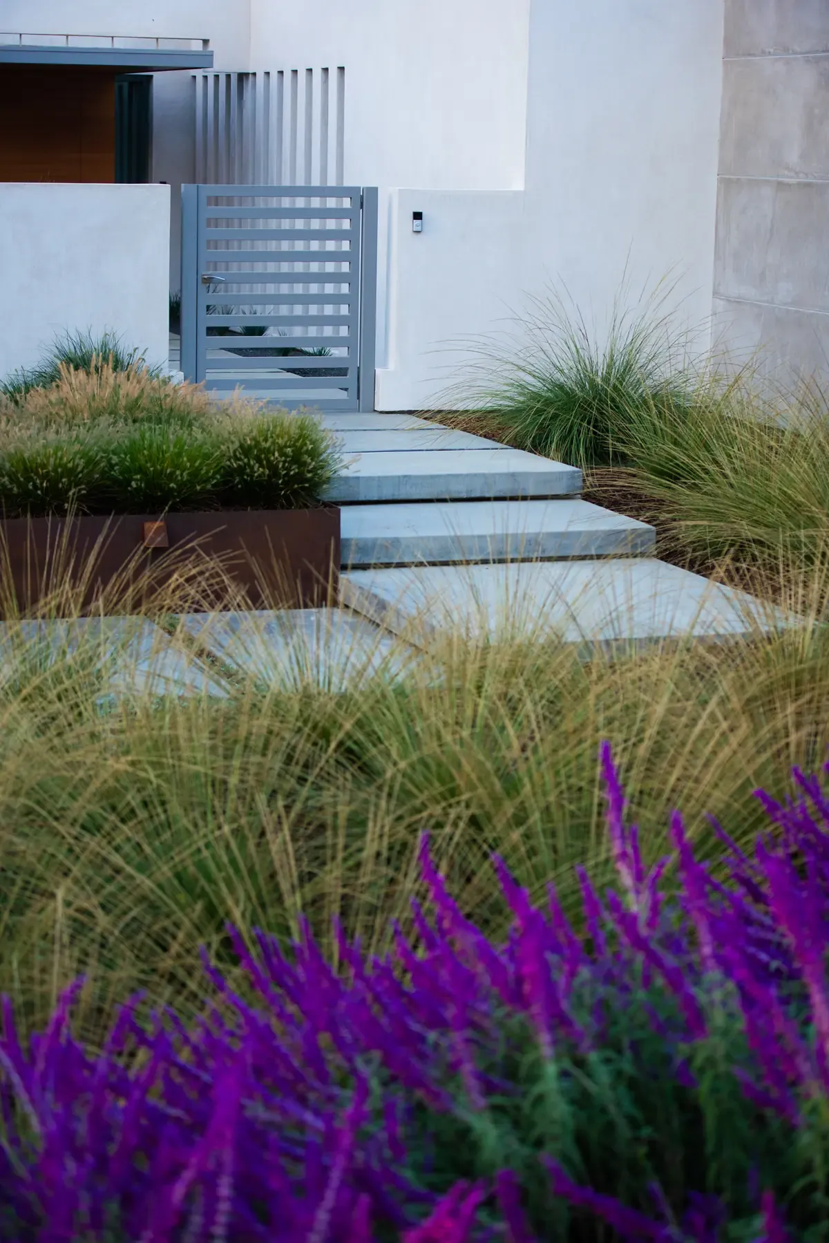 Steps rising between grasses to the entry gate