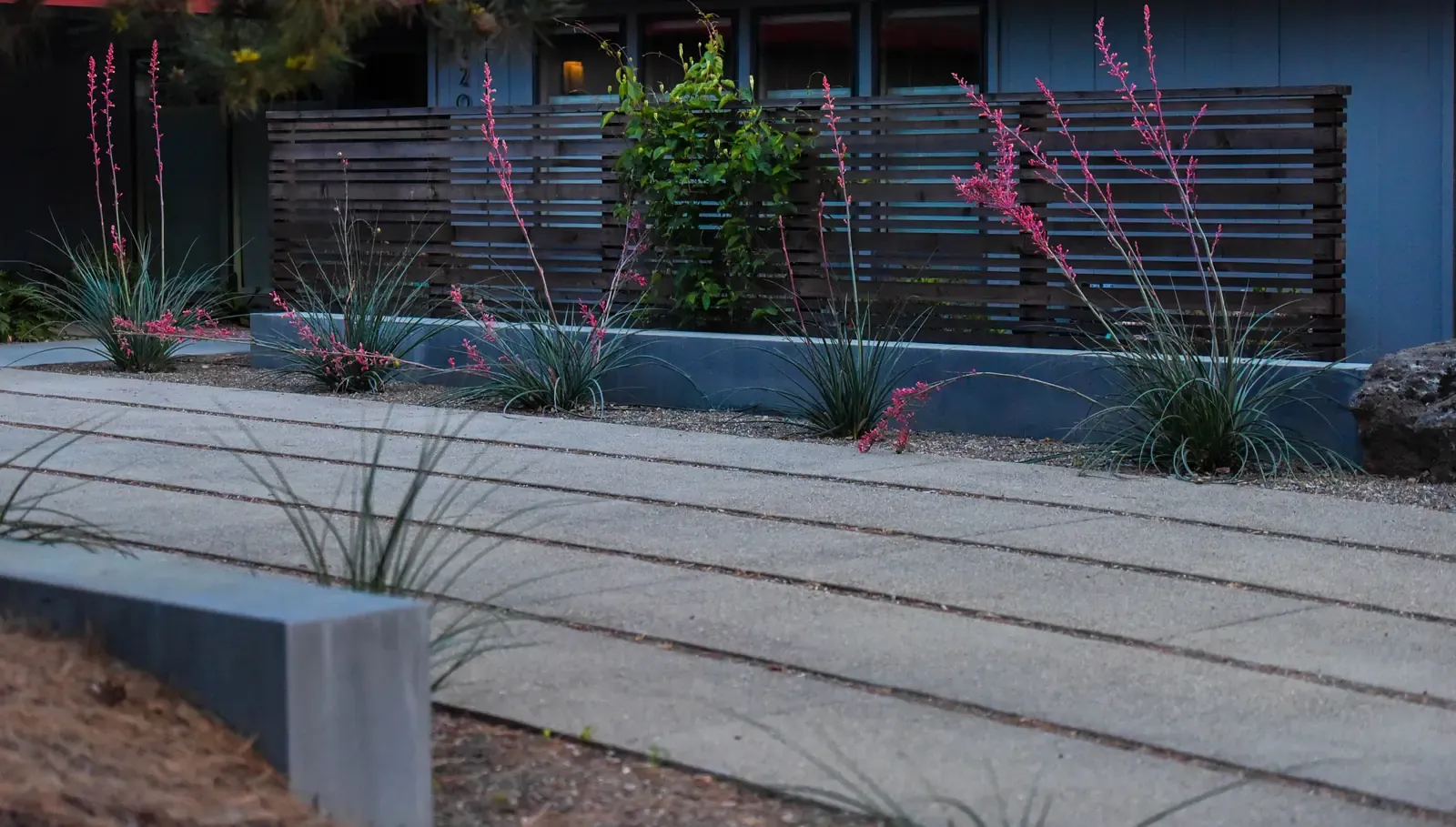 Concrete steps and planter running along the blue-grey house wall
