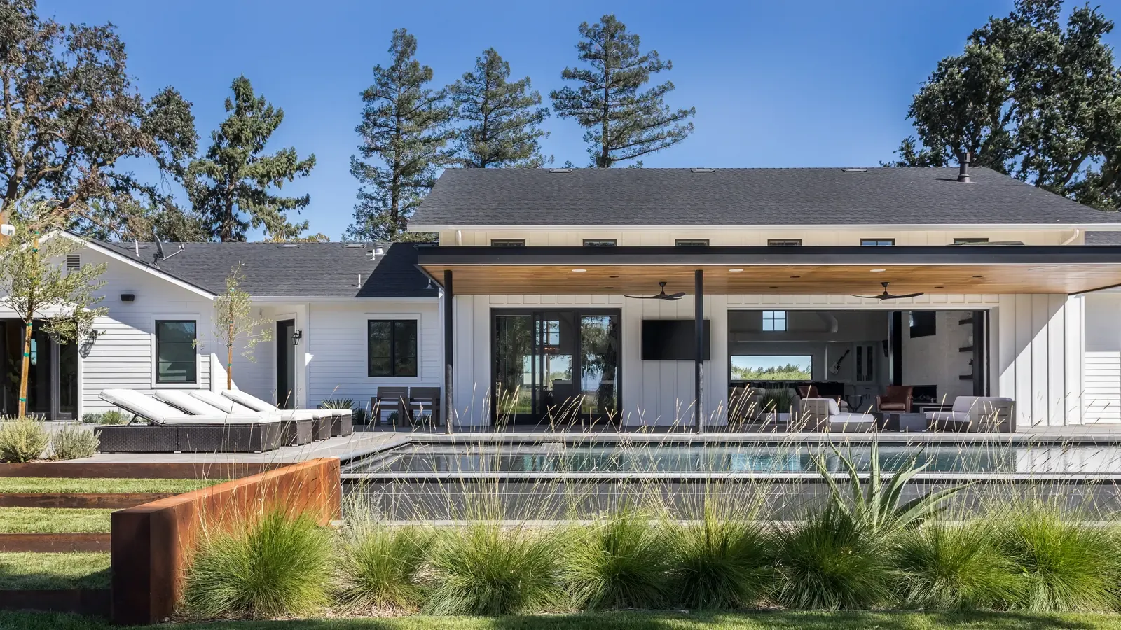 The house across the lap pool, grasses and a corten retaining wall in front