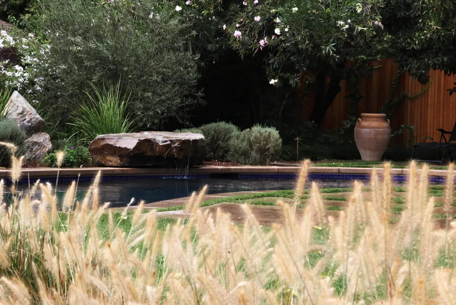 Fountain grasses catching the light beside the pool and boulder