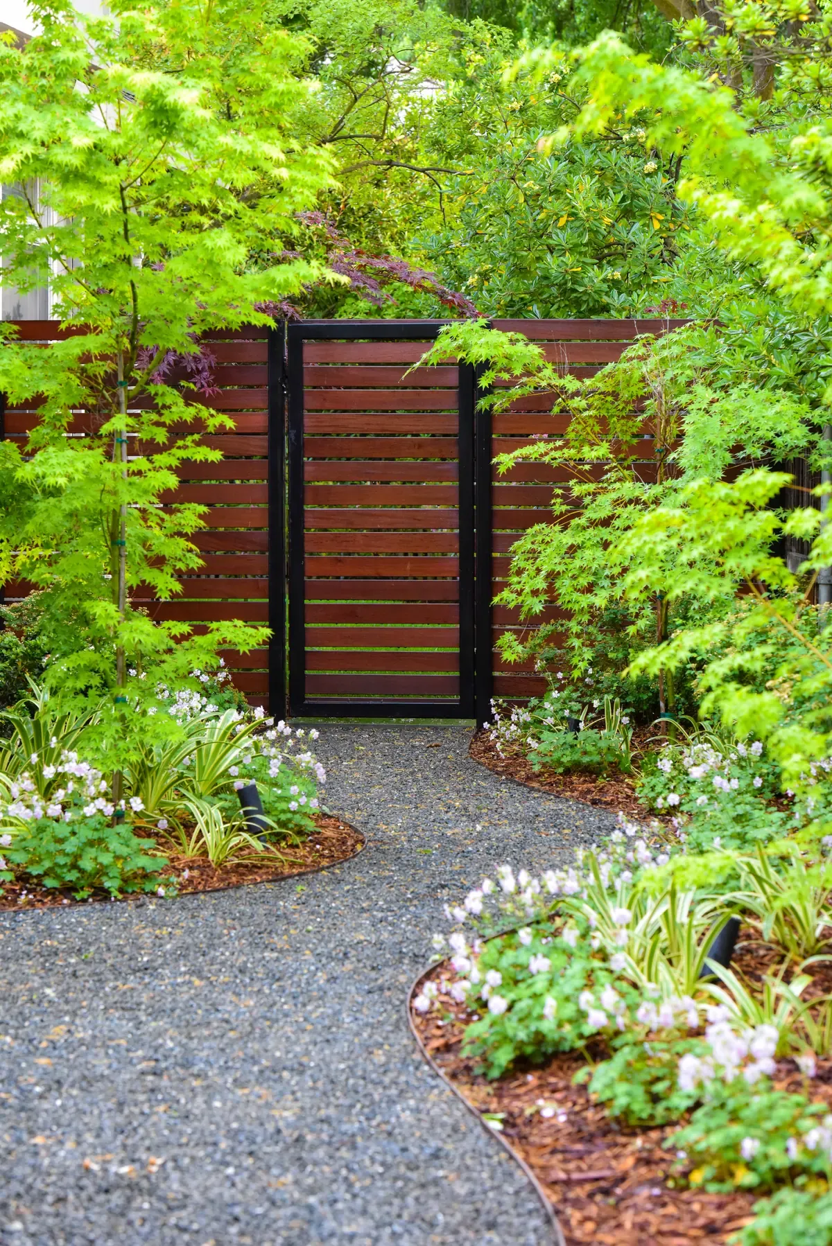 Gravel path to a timber gate between shrubs and small trees