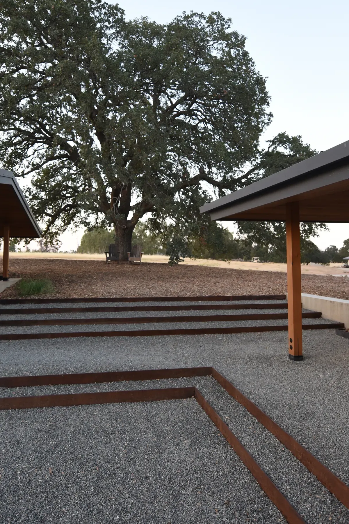 Valley oak over the gravel courtyard and inset paving bands