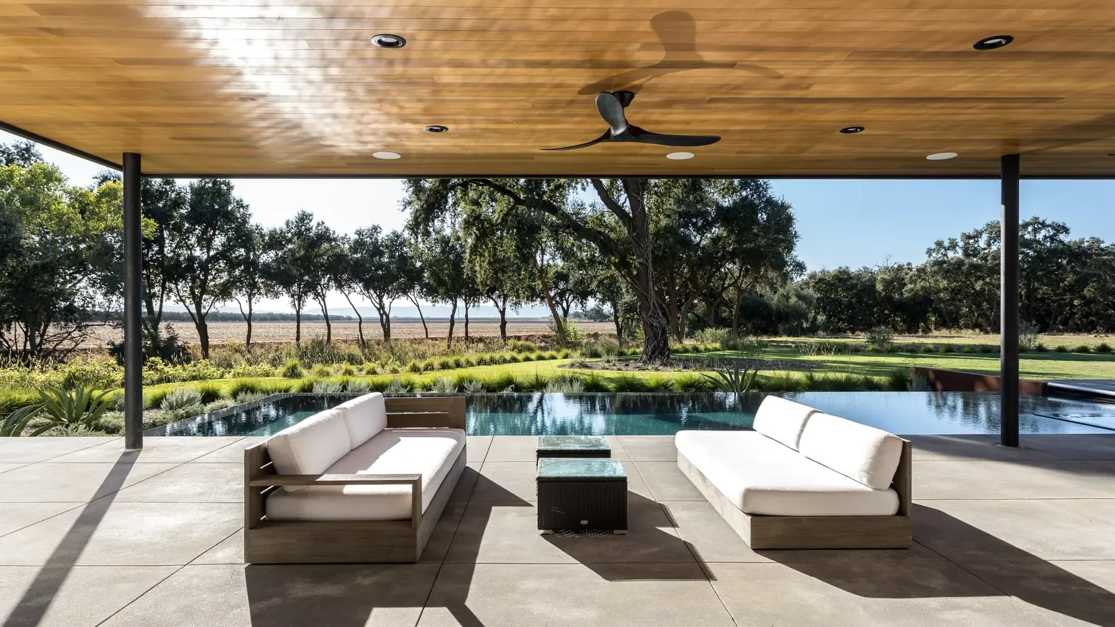 Covered terrace looking out past the oak to open ground