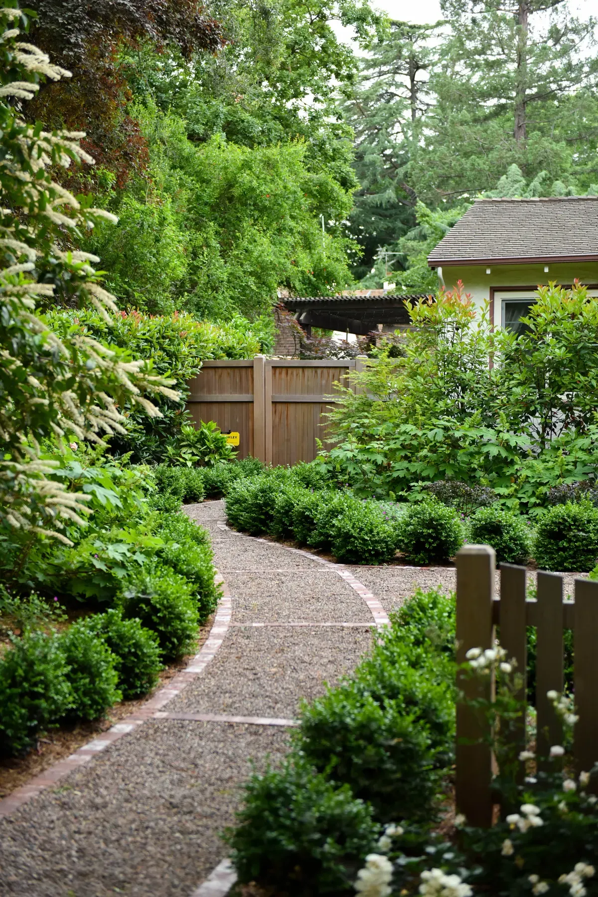 Path curving through the garden toward the fence and outbuilding