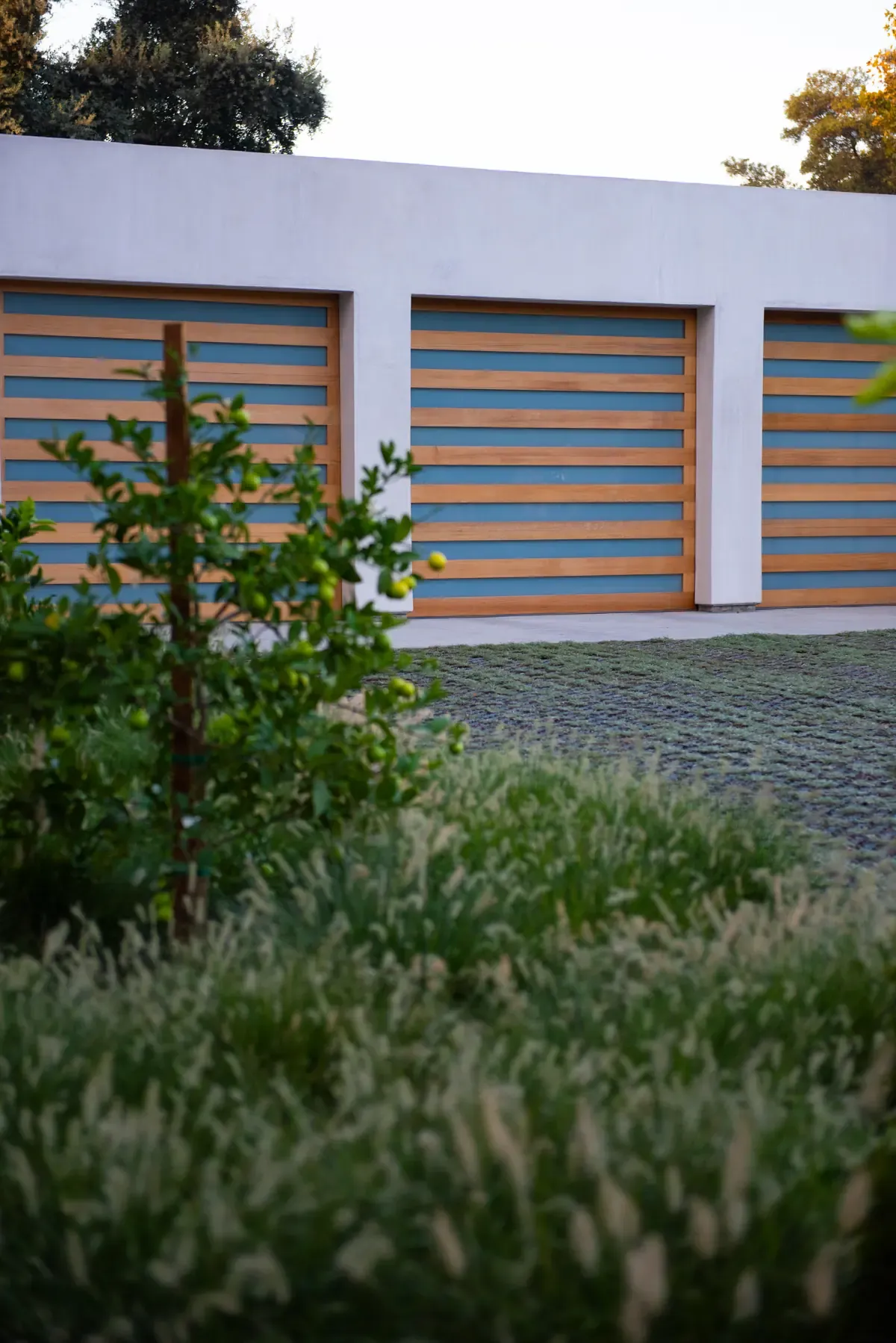 Garage doors and young tree seen across the planting