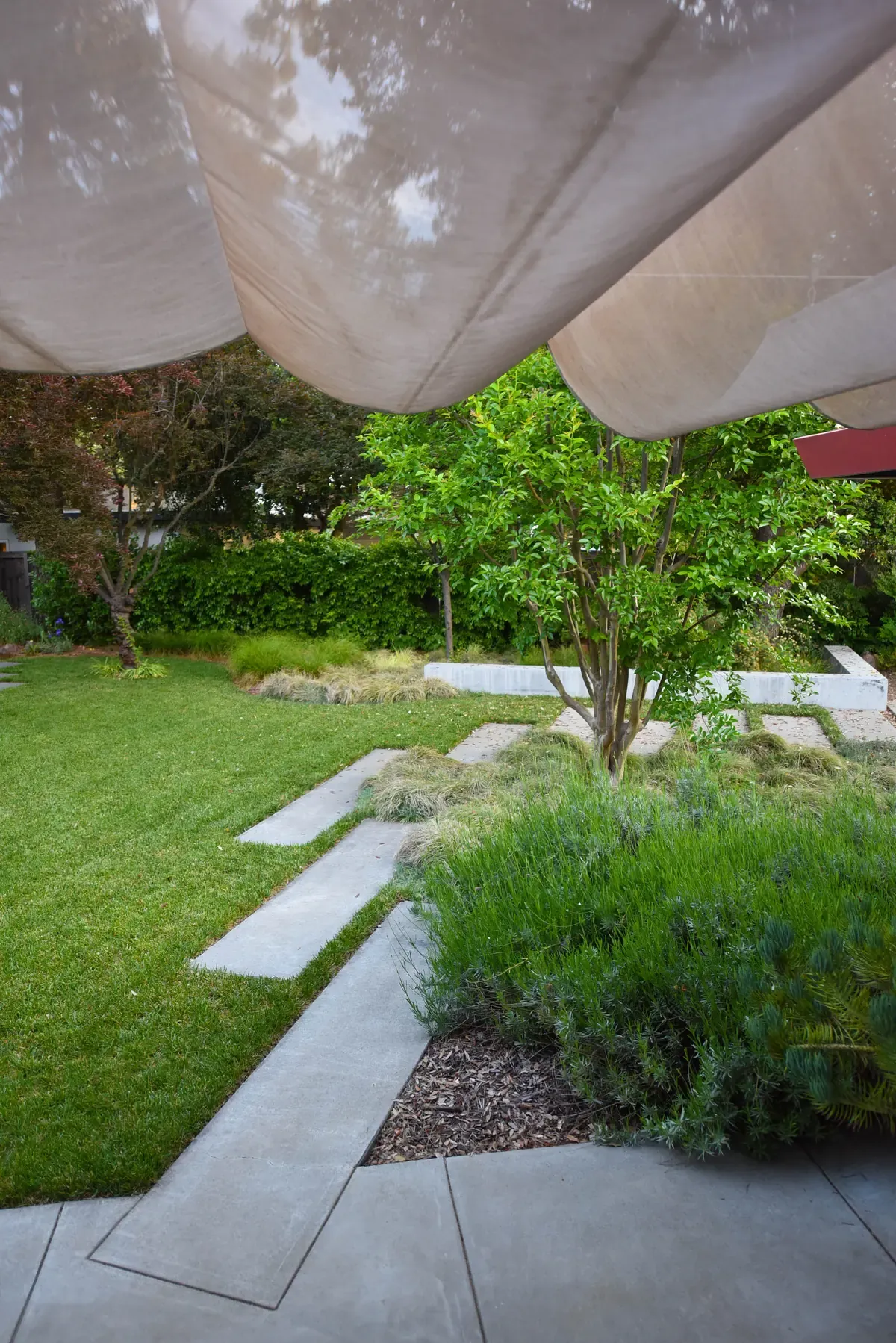 Shade sails over the lawn, stepping stones leading away
