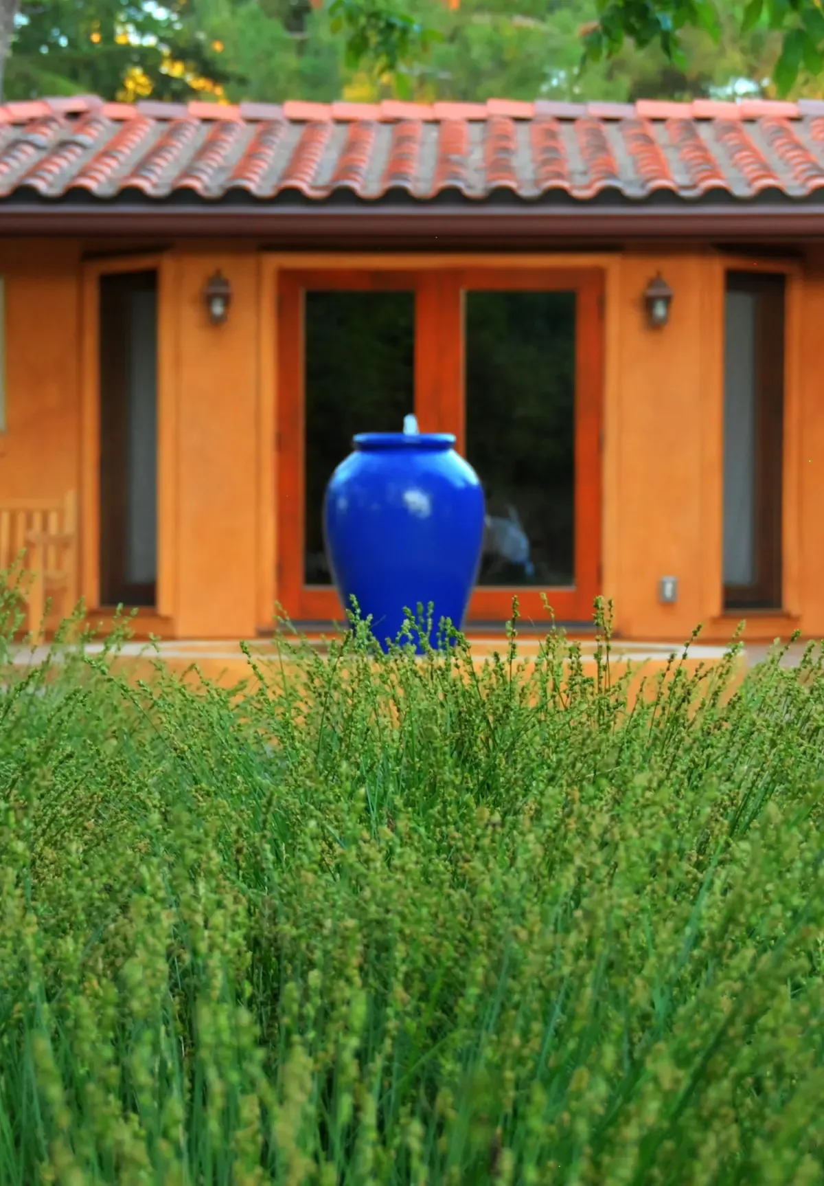 Blue glazed urn against an ochre wall, rosemary planted in front