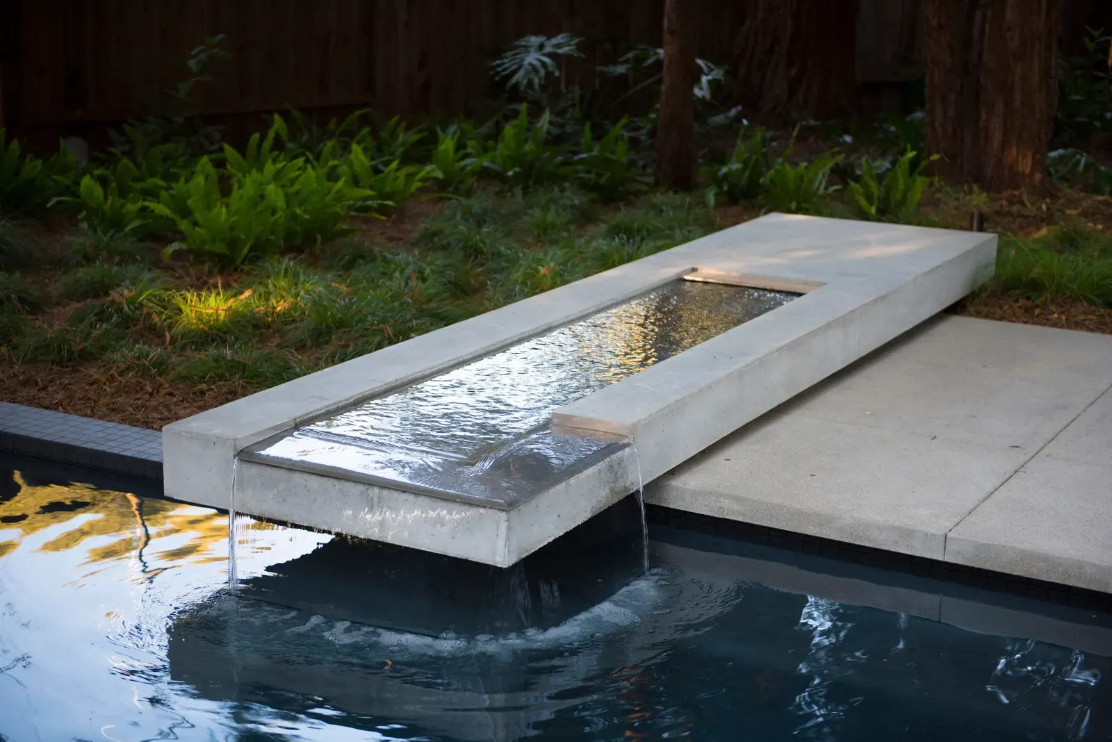 Long concrete water blade spilling into the pool, ferns crowding the edge