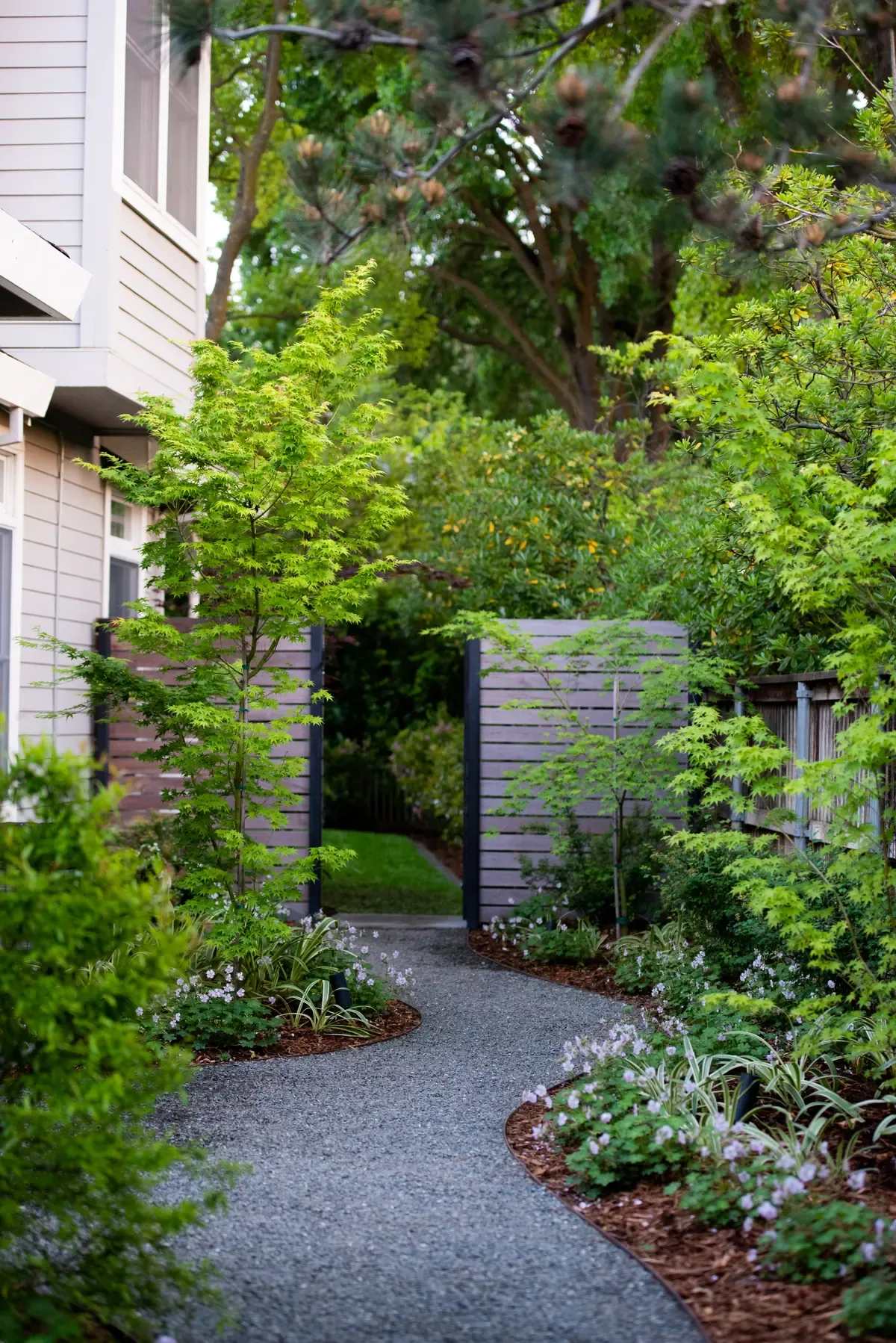 Gravel path running along the side of the house between planting