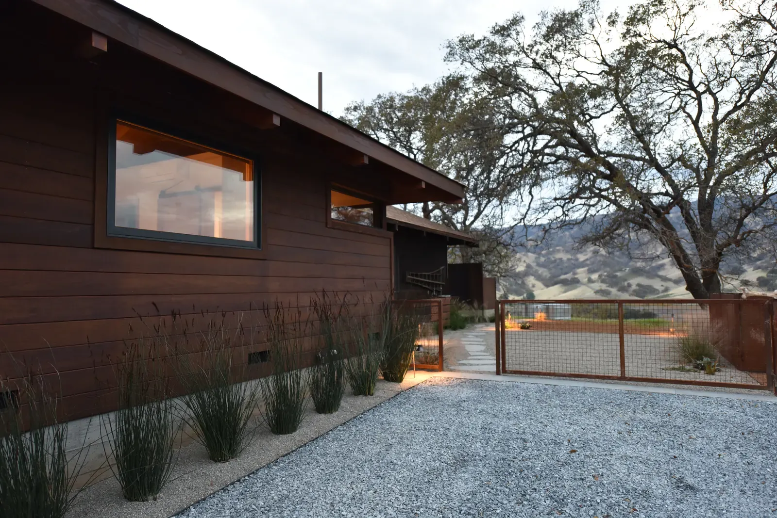 Timber cladding and grasses along the gravel drive, oak overhead