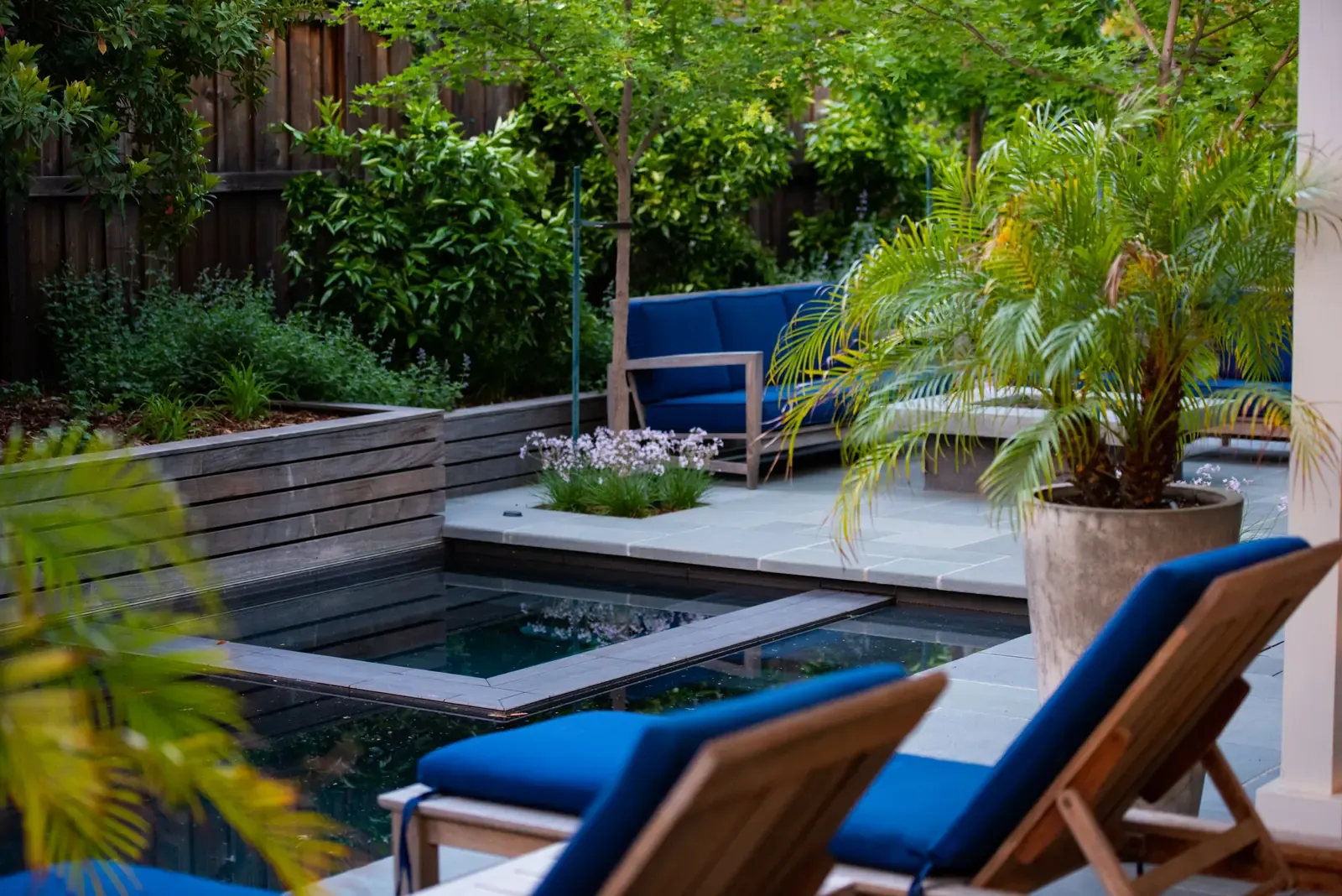 Loungers and palm beside the pool, timber-clad wall behind