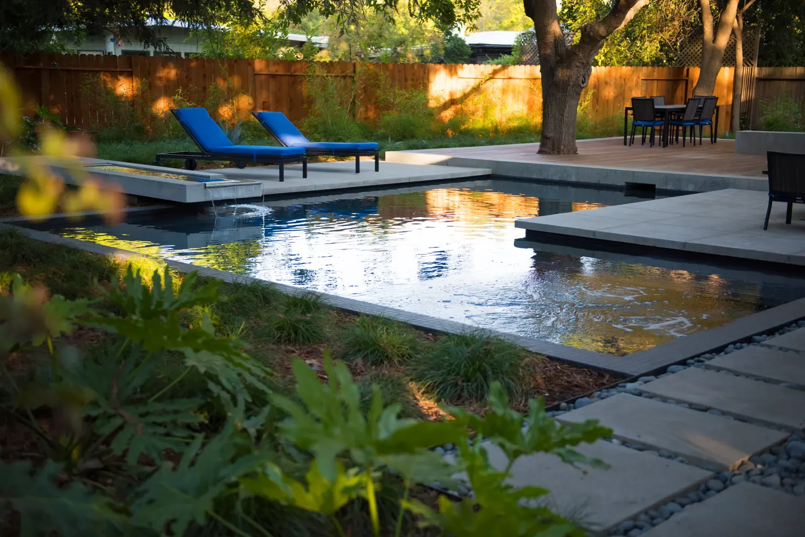 Blue loungers along the pool, stepping stones leading through planting to the fence