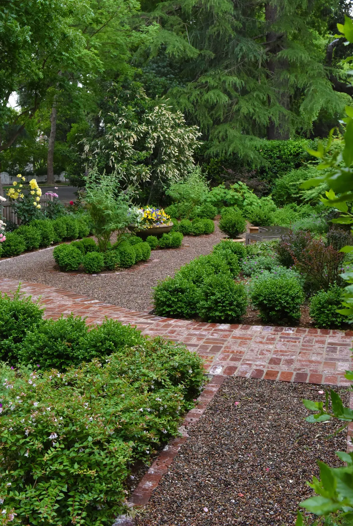 Brick and gravel paths meeting among clipped hedging