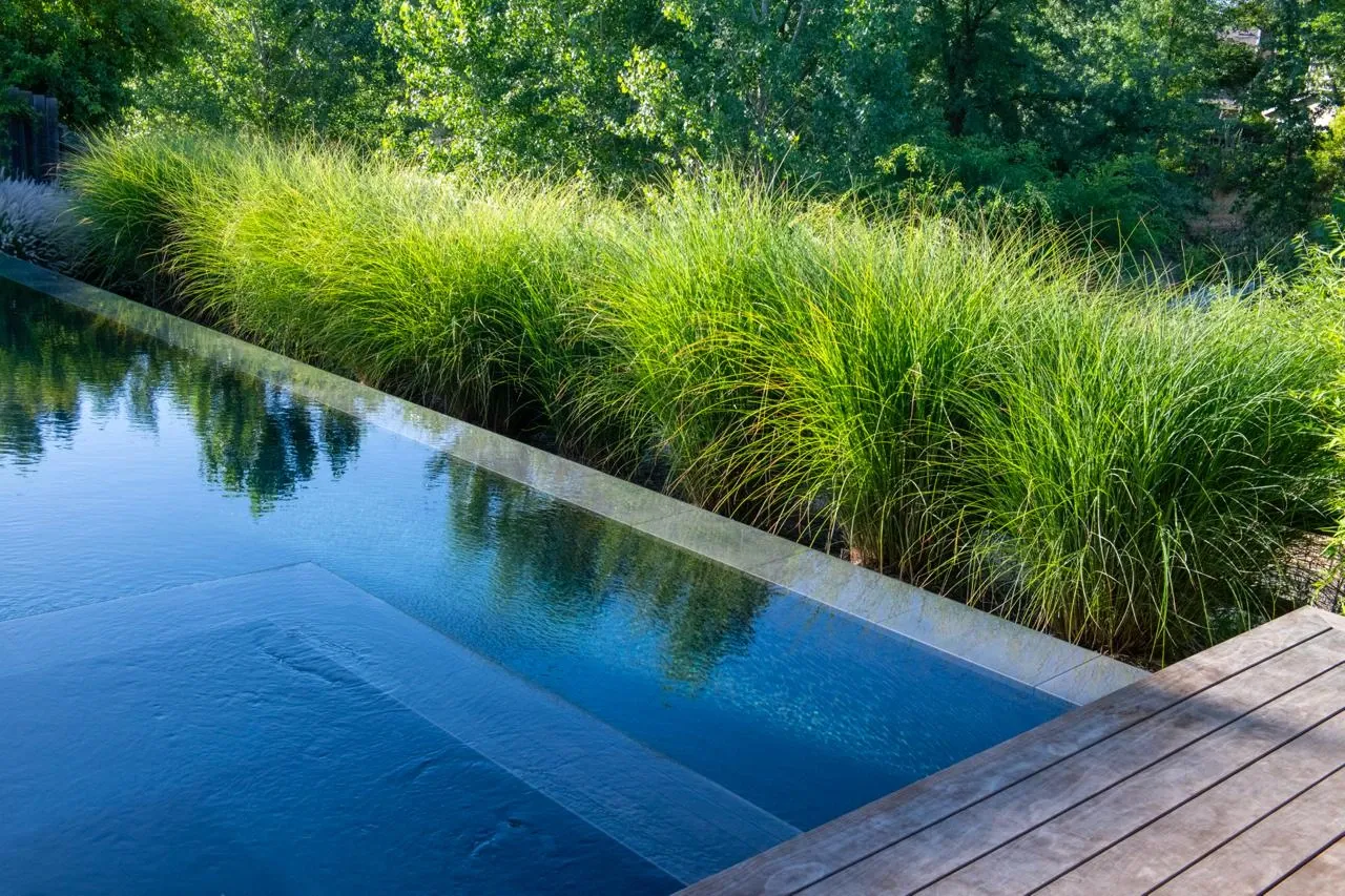 Pool and shallow ledge bordered by grasses, mature trees and wood decking