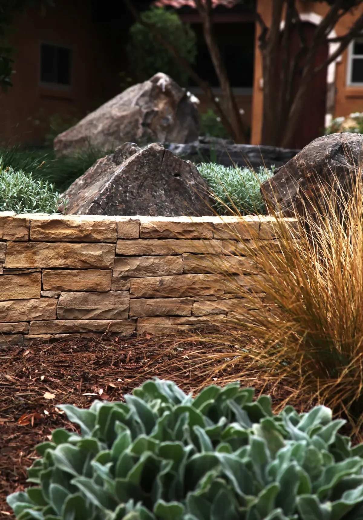 Dry-stacked stone wall with succulents and grasses above