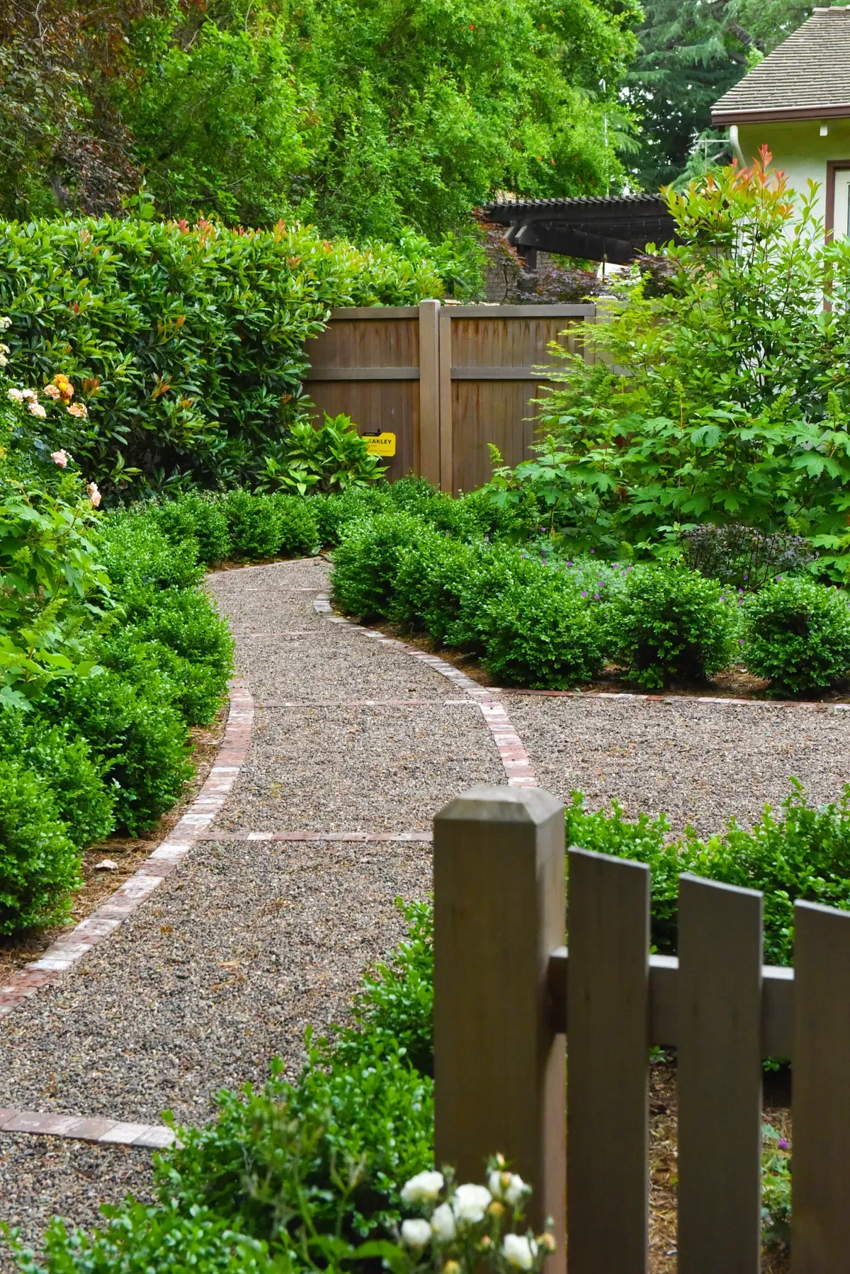 Curving gravel path with boxwood balls, picket fence to one side