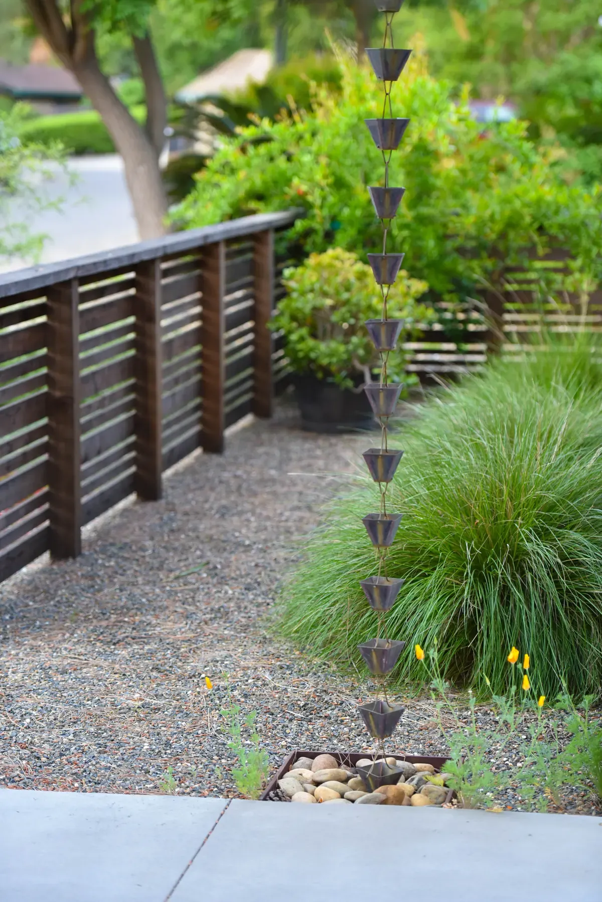 Grasses and planting against the horizontal timber fence