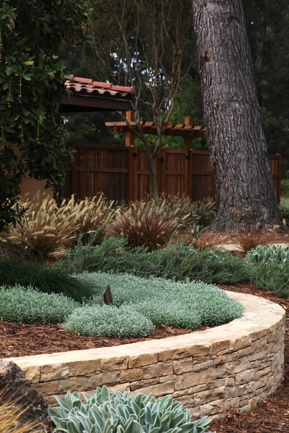 Curved stone wall retaining the planting beneath the trees