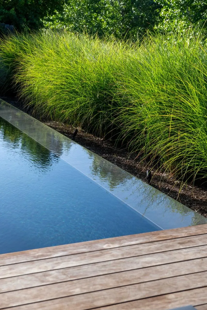 Dark pool edge beside a dense row of ornamental grasses