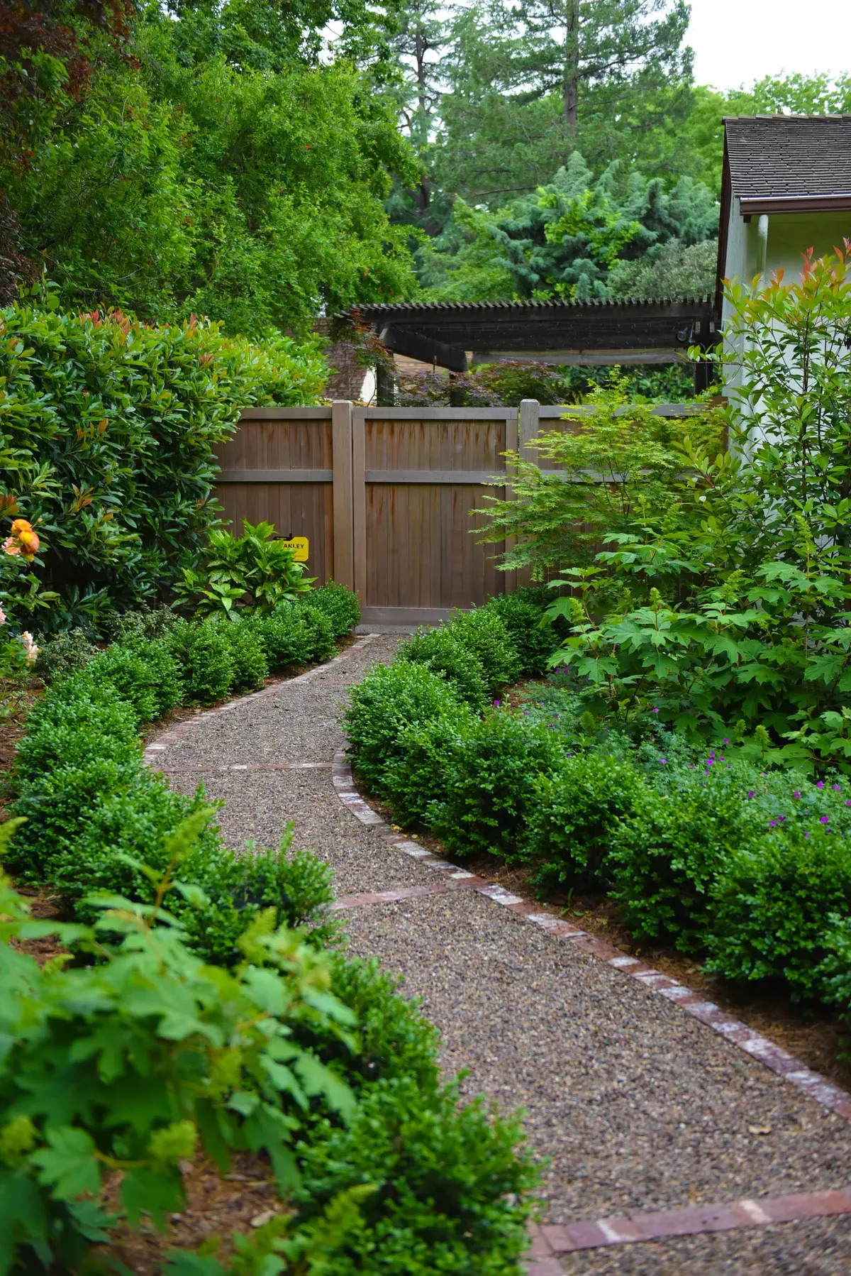 Path curving away between hedging and a timber gate