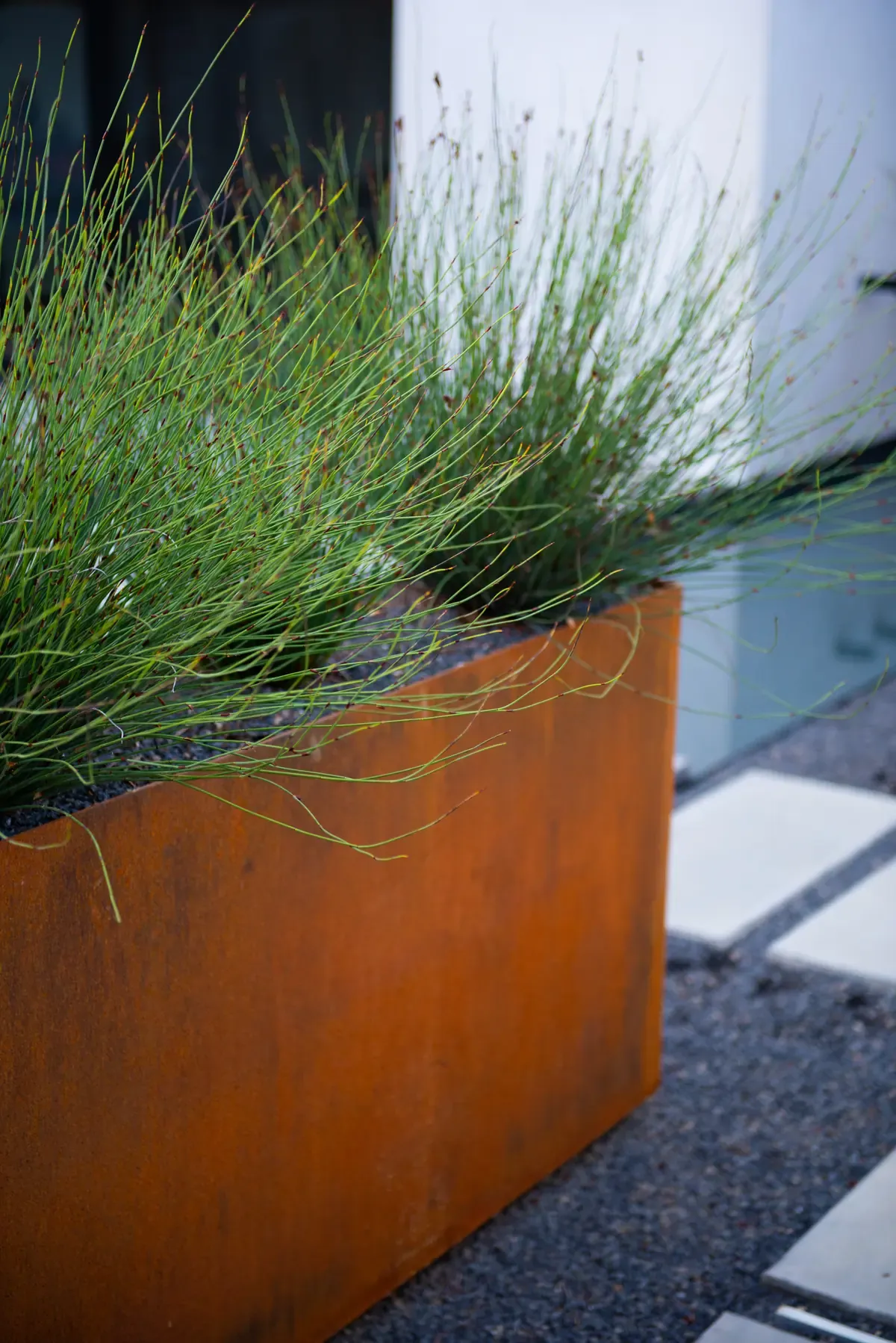 Weathering-steel planter holding a clump of grass beside the paving