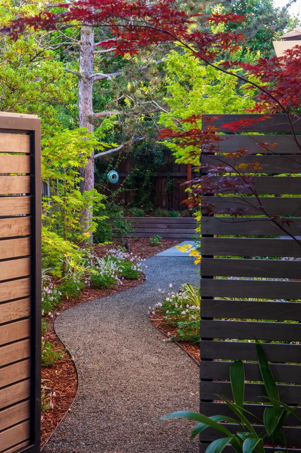 Timber screen and gate at the end of the gravel path, maple overhead