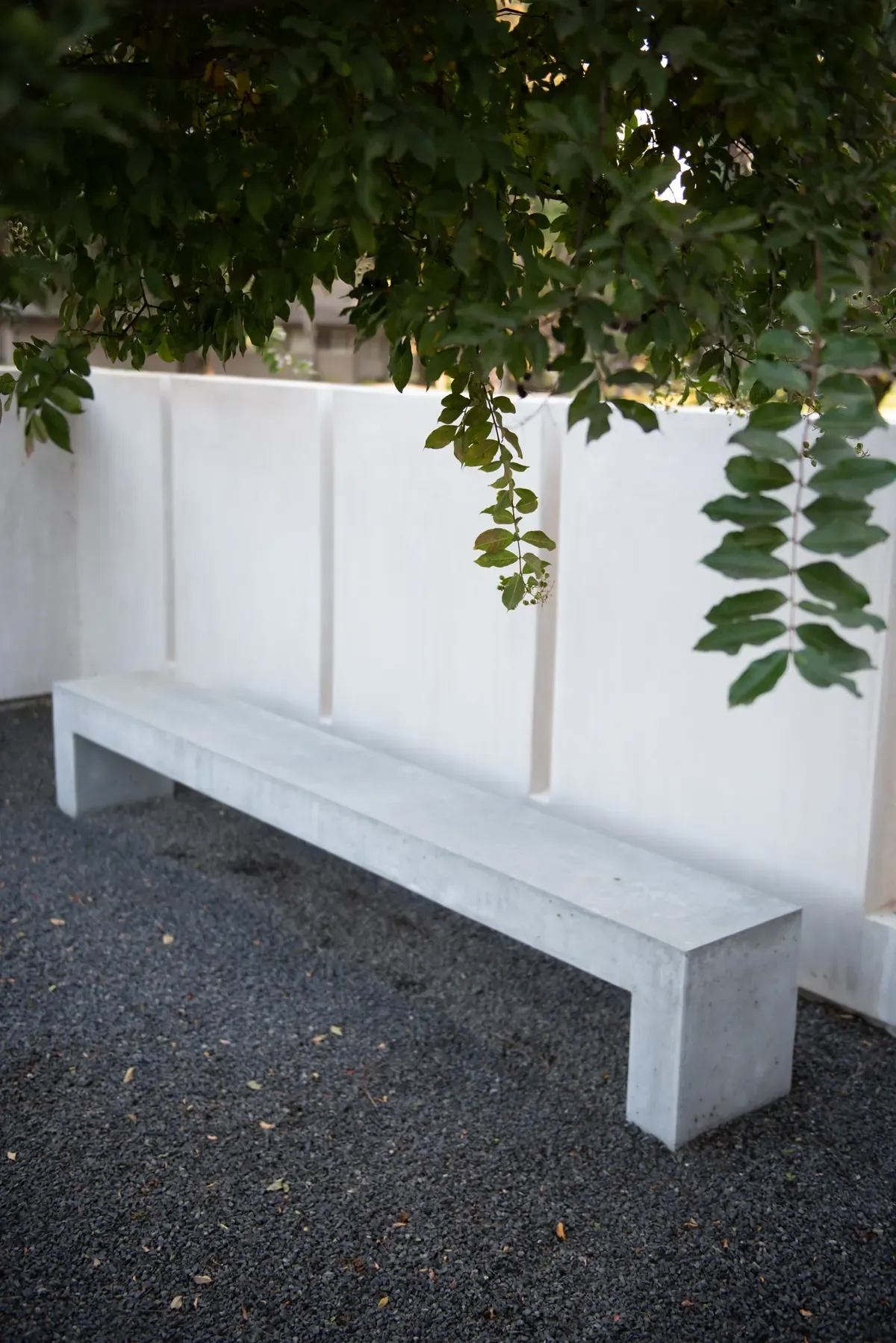 Concrete bench beneath a small tree against the white wall