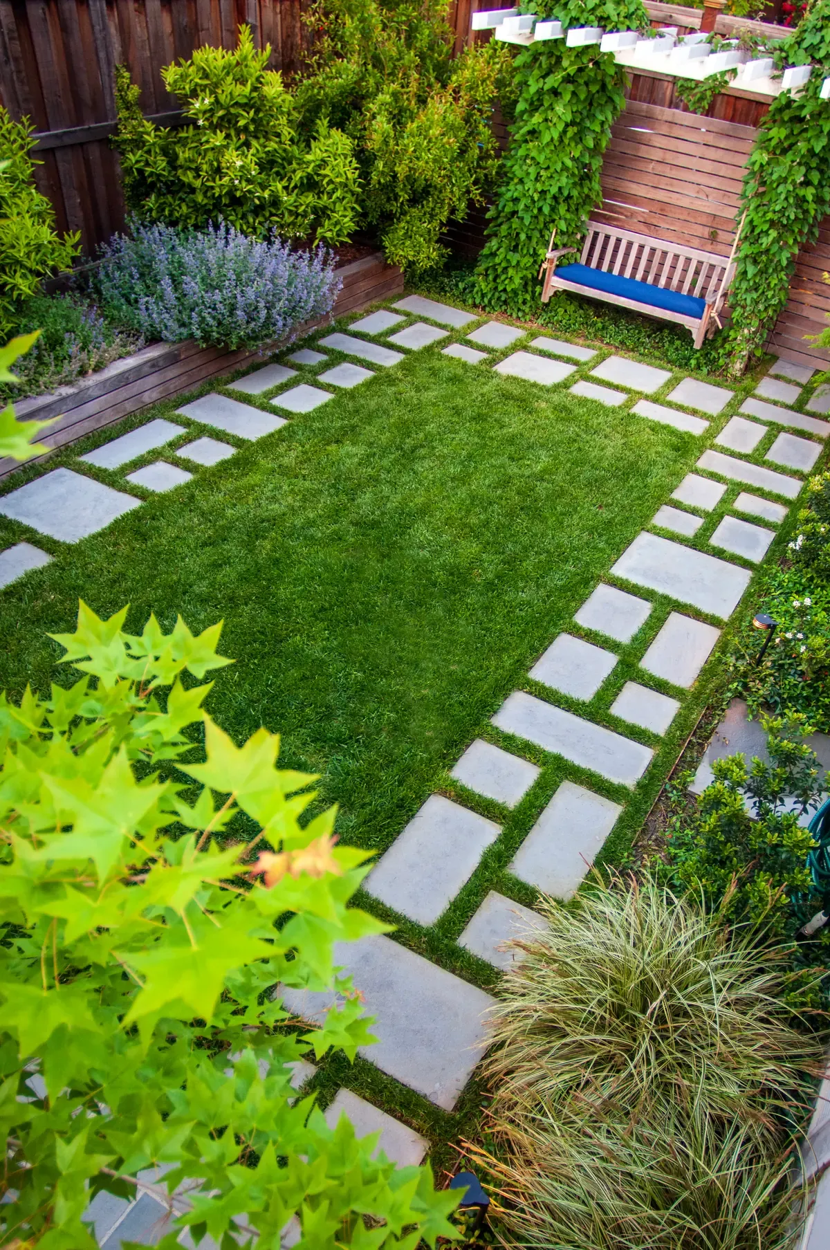 Stepping stones set in lawn, bench against the planting