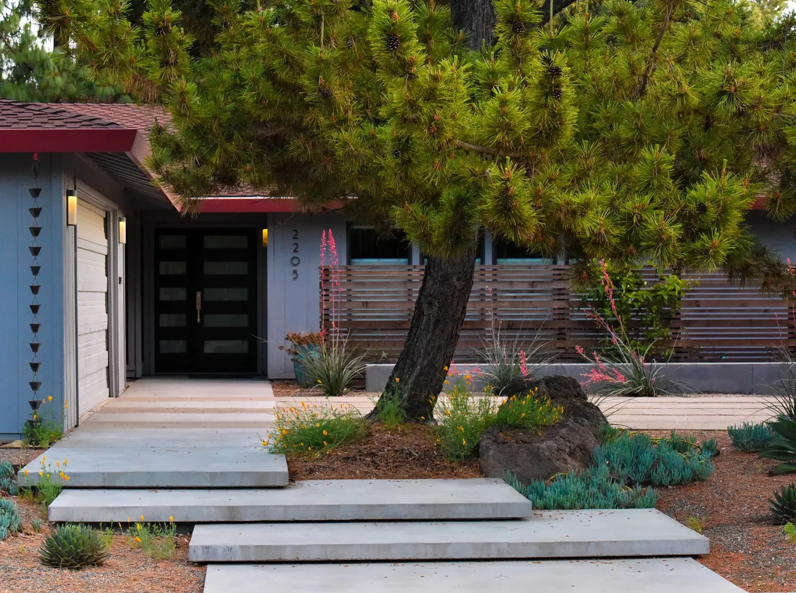 Entry steps beneath the pine, timber screen alongside the door