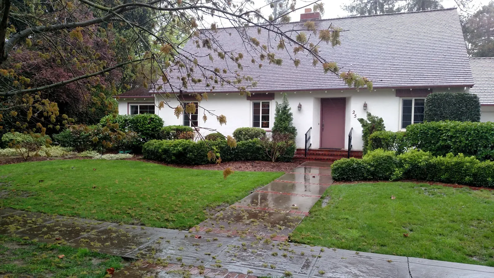 The property before the work — plain lawn and bare frontage on a wet day