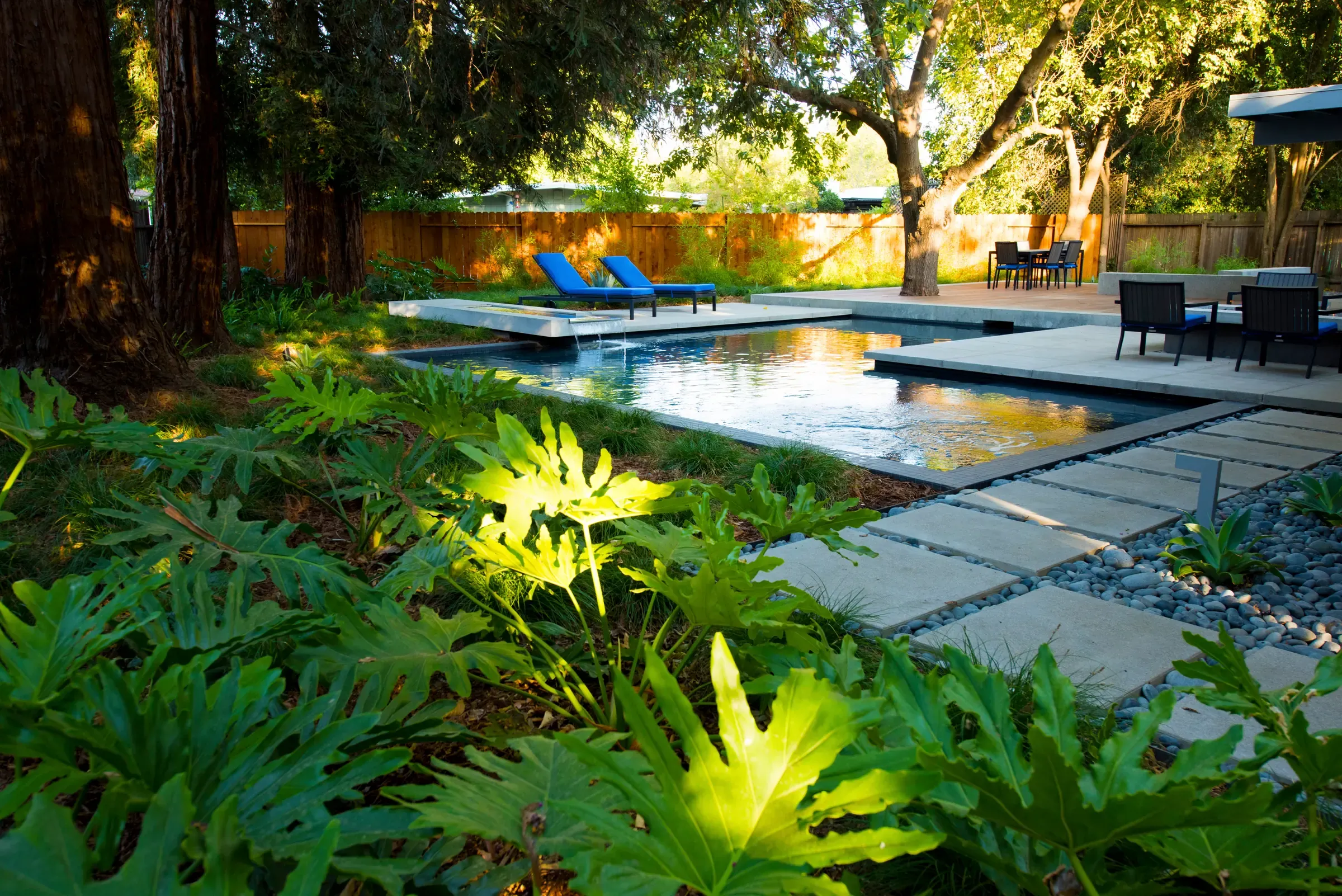 Dark-bottomed pool beneath redwoods, blue loungers on the far deck and uplit ferns in the foreground