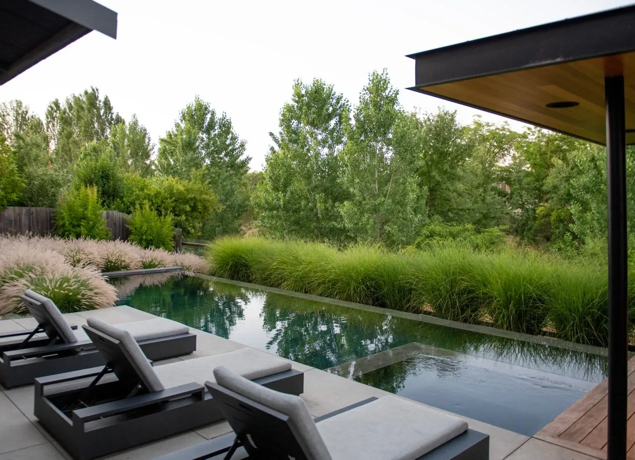 Long dark pool bordered by ornamental grasses, pale paving and mature trees