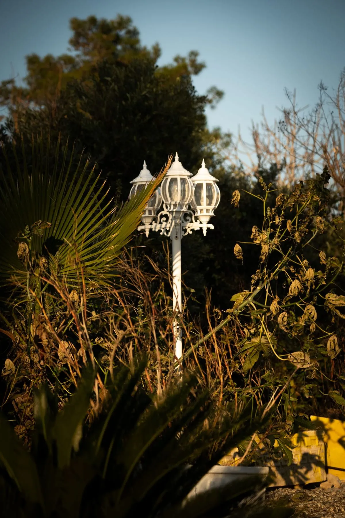 Garden lantern in golden evening light